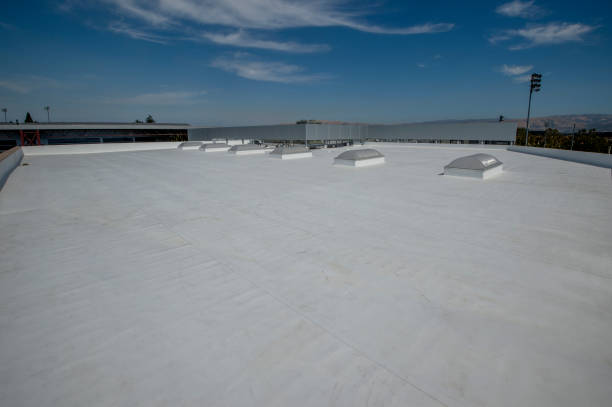 Best Gutter Installation and Repair  in Vero Lake Estates, FL