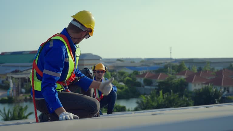 Best Steel Roofing  in Vero Lake Estates, FL