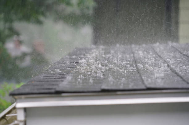 Best Flat Roofing  in Vero Lake Estates, FL